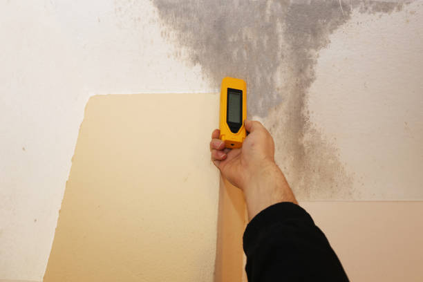 Best Residential Mold Inspection & Testing  in West Sand Lake, NY