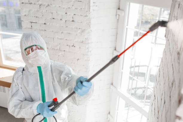 Best Asbestos and Lead Testing During Mold Inspection  in West Sand Lake, NY